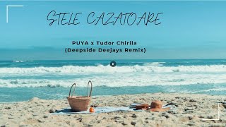 PUYA X Tudor Chirila - Stele Cazatoare (Deepside Deejays Official Remix)