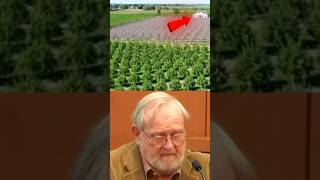 He Poisoned 200 Apple Trees To Steal The Farm. The Judge Was Furious.