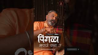 What Is Pingala?