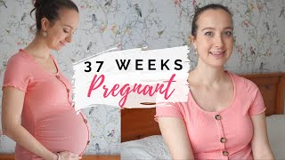 37 WEEKS PREGNANT | What to expect at 37 weeks pregnant | Pregnancy