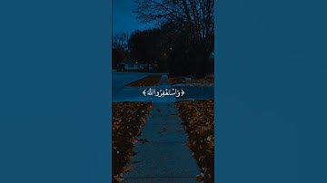 واستغفرالله ان الله غفور رحيم - شريف مصطفى - سورة البقرة