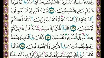 سورة      النمل   .     صفحة     ٣٨١                  من  الأية( ٤٥ ) إلى الأية ( ٤٩ )