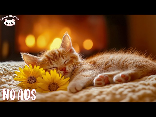 Healing Music for Cats 🐱 Soothing Catnap Melodies for Anxious