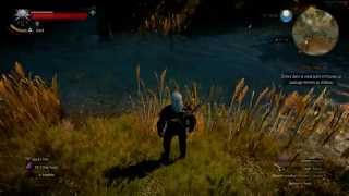 The witcher 3 Water Test