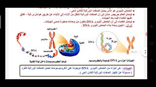 قانون مندل الثاني التوزيع الحر للعوامل للصف الثالث الاعدادي الترم الثاني