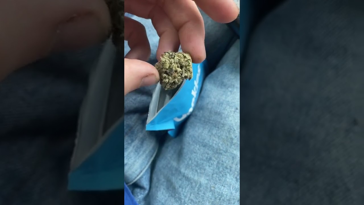 2090 shit by cookies