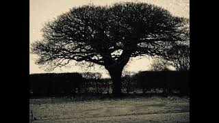 Twitcher Mutinys Fates Atwain