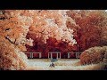 Editing Infrared Photography (Affinity Photo)