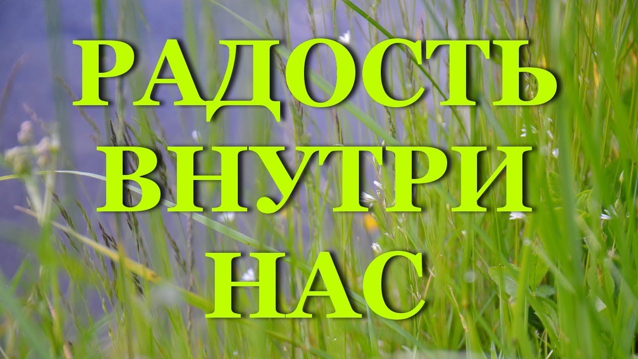 Машина радость україна