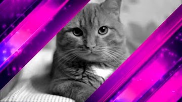 Colorful Strips Multi Transition Animated  green screen