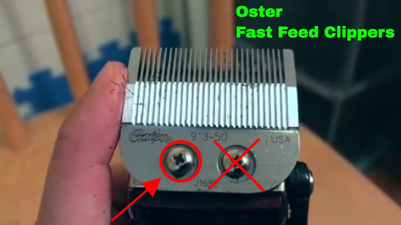 best guards for oster fast feed