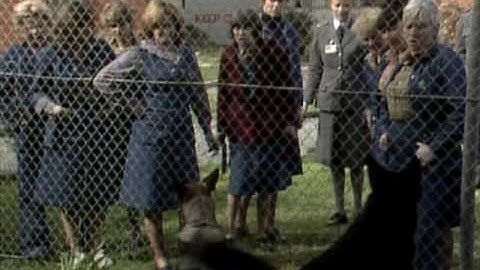 Prisoner Cell Block H ep0253 Part 5