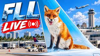 🔴  LIVE  Fort Lauderdale-Hollywood International Airport | September 6, 2026