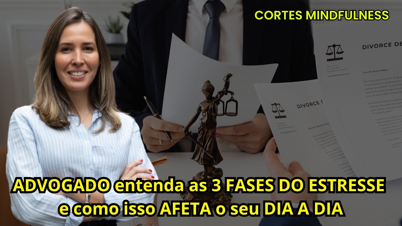Entenda as 3 FASES DO ESTRESSE e saiba a melhor forma de lidar com o ...