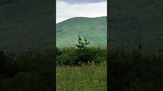 28 май 2025 г. Вишка,кула,военен полигон,висока е до третия етаж,Казанка,Средна гора.