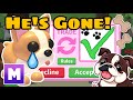 I Traded Away My Mega French Bulldog In Adopt Me 🥹🐶
