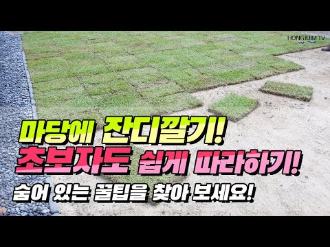 마당에 잔디깔기! 초보자도 쉽게 따라하기.. 숨어 있는 꿀팁을 찾아 보세요 / Laying the lawn in the yard