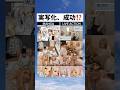 【話題】どっちが好き?これは成功? #shorts #アニメ #漫画 #おもしろ