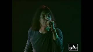 The Young Gods - Full concert 1996 - Pro-shot