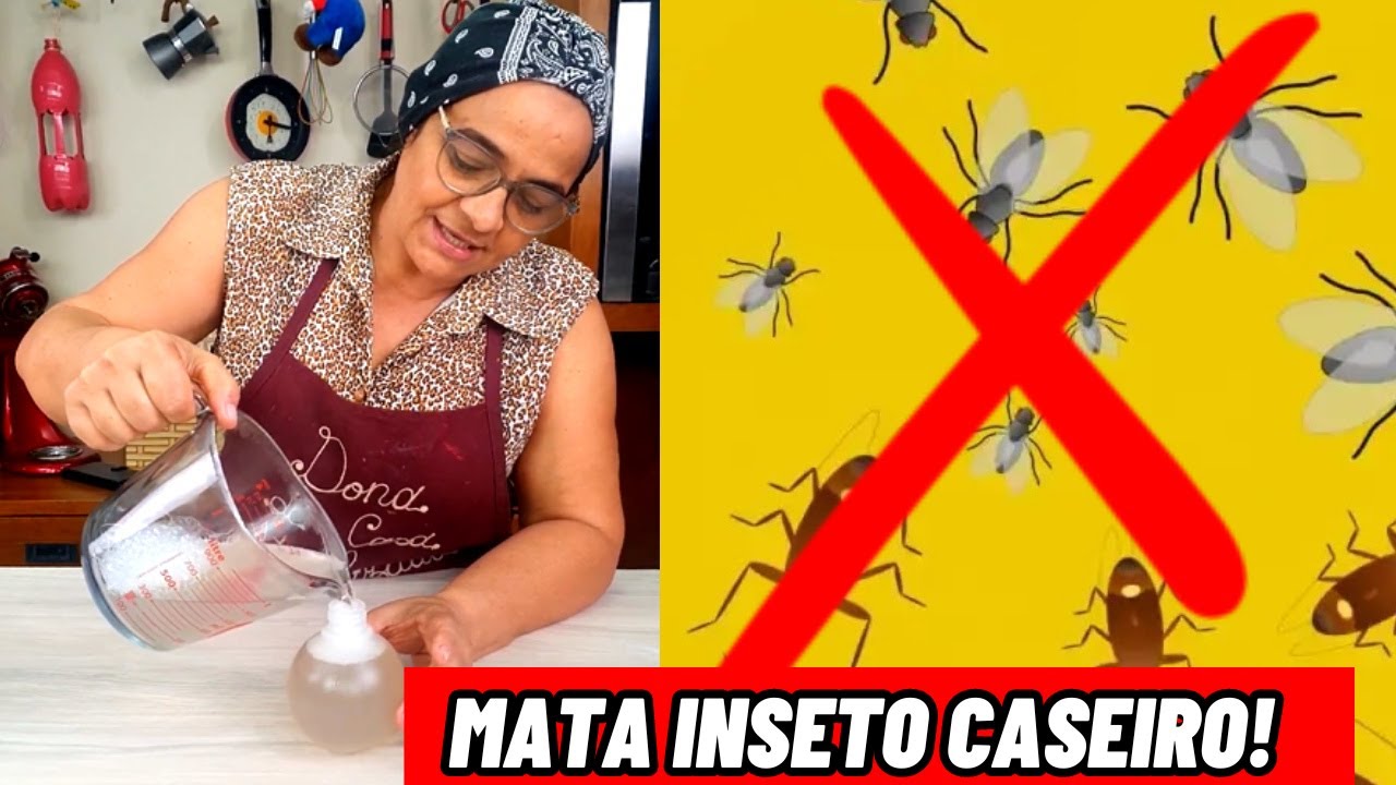 Pernilongo gigante: veja como acabar com infestações e se proteger do inseto  - NSC Total