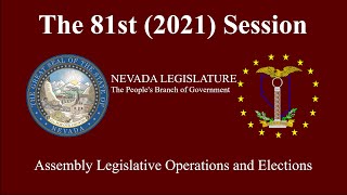 5/28/2021 - Assembly Committee on Legislative Operations and Elections
