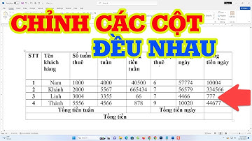 Cách Chỉnh Các Cột Có Kích Thước Đều Nhau Trong Bảng Word