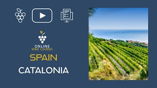 Wine Region of Catalonia | Spain🍇Online Wine Courses ➡️ with QUIZ screenshot 5