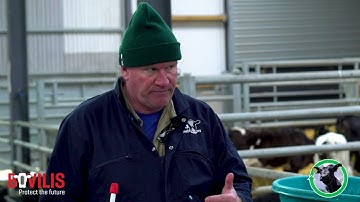 TCHS - Colostrum management and testing the quality of colostrum