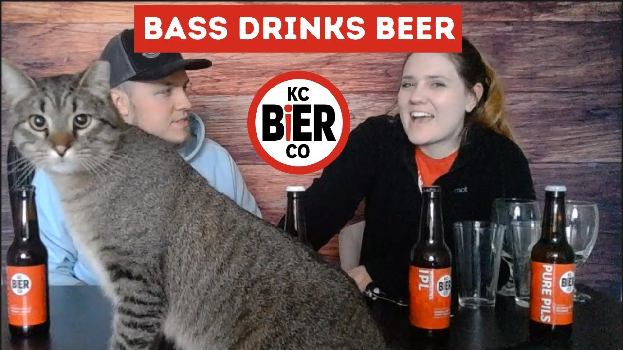 Bass Drinks Beer Drinks KC Bier Co.