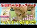 食いつき抜群！シュプレモが選ばれる理由を徹底解説【シュプレモの知らない世界】