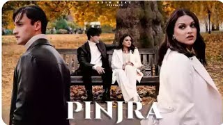 #PINJRA - ASIM RIAZ x HIMANSHI KHURANA (Official Music Video) HIP HOP || And SONG || 2022 Hitt,