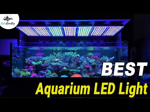 Best Aquarium LED Lighting In 2019 – Top Rated Lights Compared!