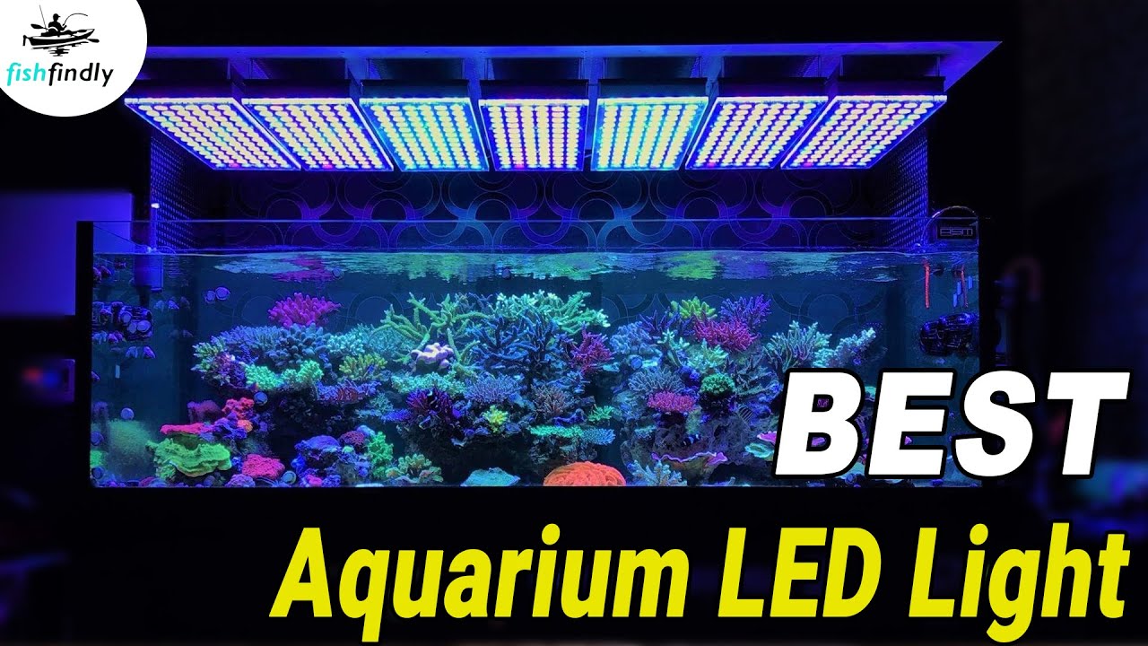 freshwater fish tank lighting