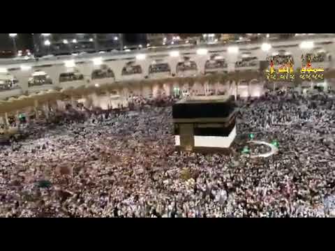 رائعة الأنعام عزبة الصعايدة الشيخ محمد الليثي