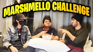 Himlands Gang Chubby Bunny Challenge ft. @YesSmartyPie @DREAMBOYYT  (Funniest Challenge)