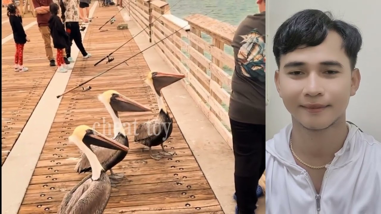 Ep25 ឆ្កែសុីស្វាយចាញកូន😁