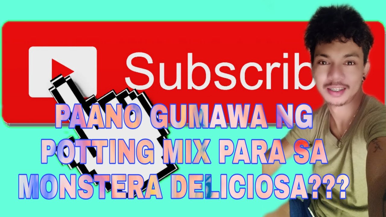 MONSTERA DELICIOSA (SOIL MIX COMPOST EFFECTIVE FOR VERY FAST ROOTING TECHNIQUE) YouTube