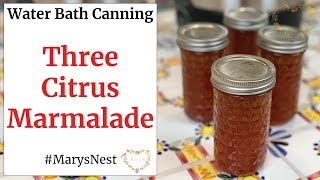 How To Make Marmalade Jam With Step-By-Step Guide To Water Bath Canning How To Can Jam