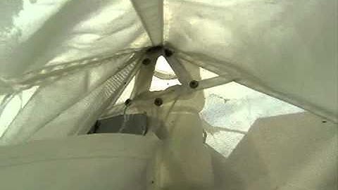 Time lapse Malaise Trap 2