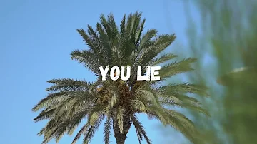 Janji Yusuf - You Lie  (Official Lyric Video)