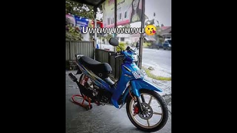 Thumbnail of POSWAN F1ZR