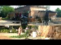 Village life of India || Rural Indian lifestyle || RURAL LIFE OF PUNJAB// Gaon ki zindagi