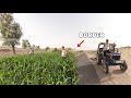 Our Farmhouse in Bikaner | Rajasthan
