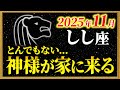 【獅子座】よく頑張りましたね!奇跡の連続を受け取ってください【12星座占い】