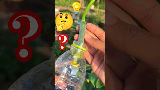 Best hack to protect bottle gourd and ridge gourd from pests #bittergourd #gourd #vegetablesaver
