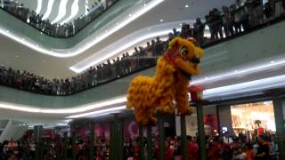 Barongsai Performance at Lippo Mall Puri 05 Feb 2017