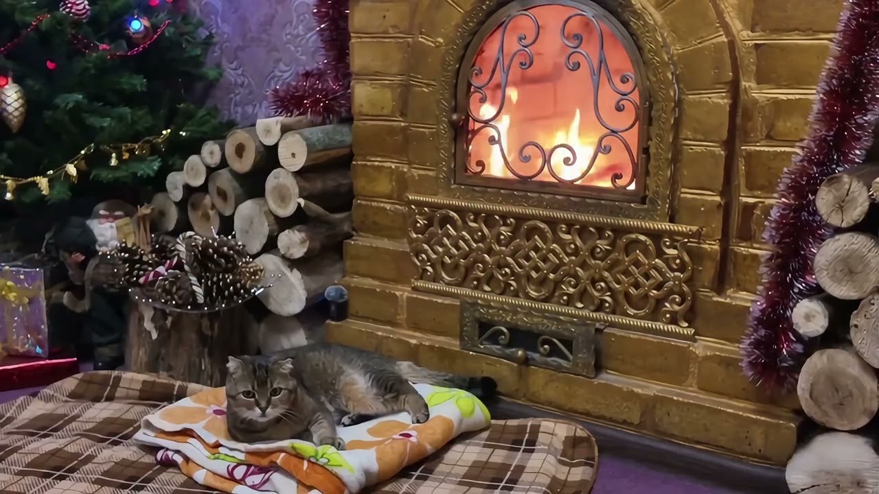 🌙 Deep Sleep with Cat Purring & Fireplace Sounds | No Music | Cozy Night