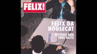 Felix da Housecat - what does it feel like