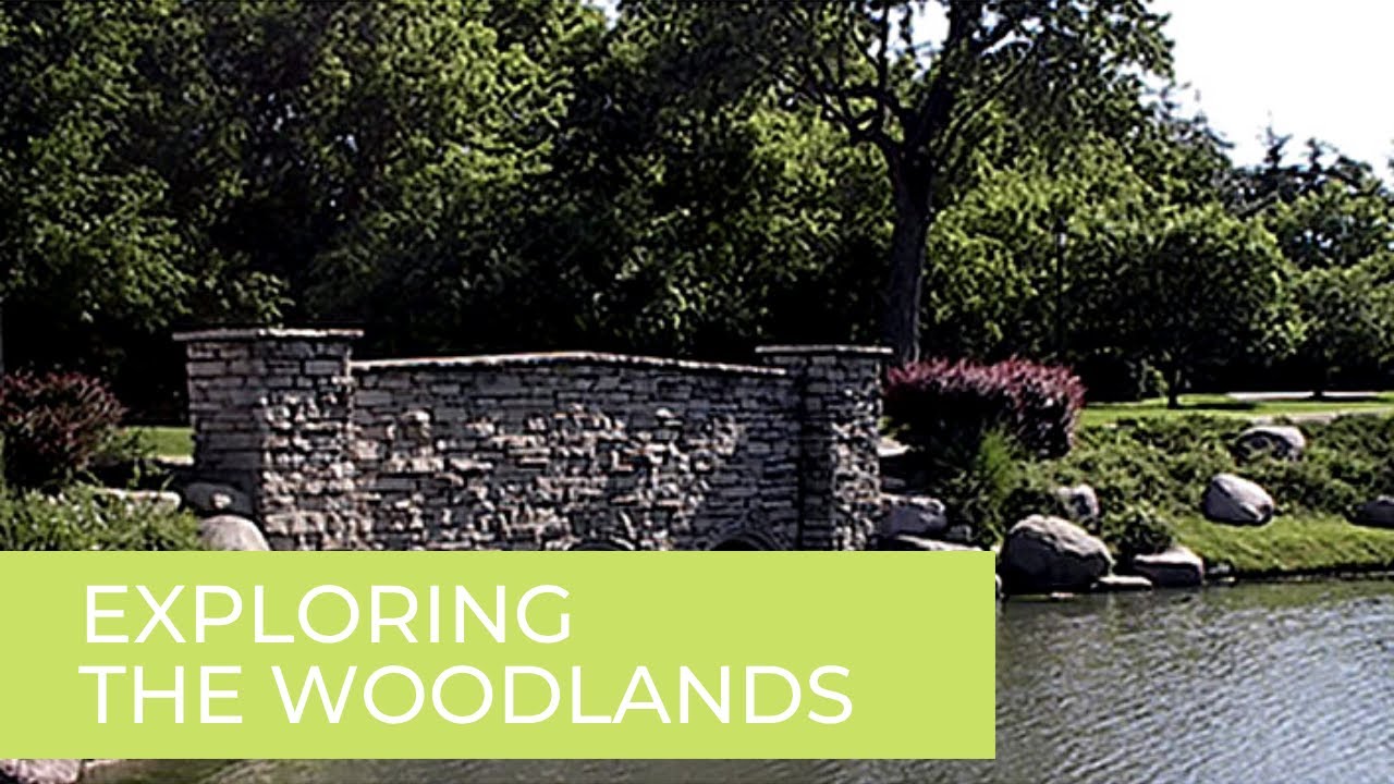 The Woodlands of Darien YouTube