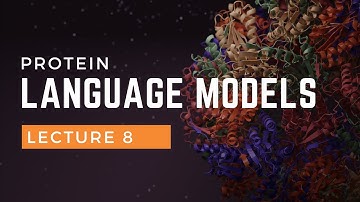 Protein Language Models